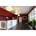 Lustre en cristal de lustre en cristal de lustre moderne de style d&#39;or foyer LT-71006